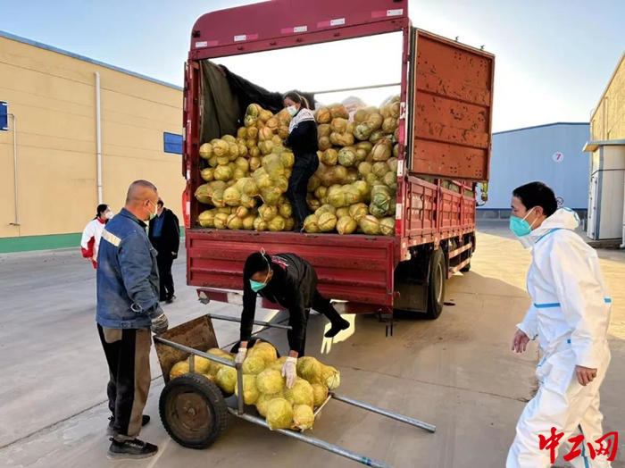 10月31日，14吨“爱心菜”送达杭锦旗，图为蔬菜搬运现场。 杭锦旗总工会供图